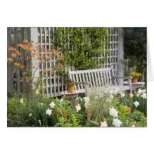 USA, Georgia, Pine Mountain. Chair in the Greeting Card