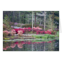 USA, Georgia, Pine Mountain. Viewing area by Greeting Cards