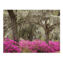 USA, Georgia, Savannah, Spring at Historic Postcards