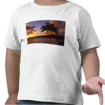 USA, Hawaii, Kauai, Colorful sunrise in a 2 T-shirts