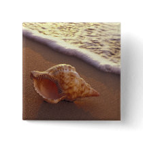 USA, Hawaii, Maui, Kihei, Evening light on Buttons