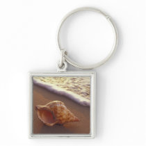 USA, Hawaii, Maui, Kihei, Evening light on Keychain