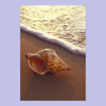 USA, Hawaii, Maui, Kihei, Evening light on posters