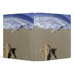 USA, Hawaii, Maui, Makena Beach, Starfish and binders