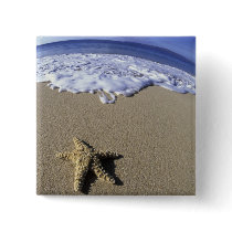 USA, Hawaii, Maui, Makena Beach, Starfish and Pinback Buttons