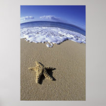USA, Hawaii, Maui, Makena Beach, Starfish and Print