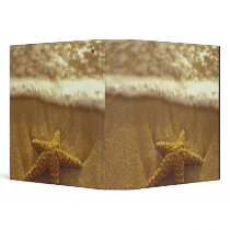 USA, Hawaii, Maui, Maui, Kihei, Starfish and Binder