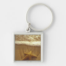 USA, Hawaii, Maui, Maui, Kihei, Starfish and Key Chain