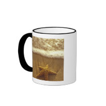USA, Hawaii, Maui, Maui, Kihei, Starfish and Coffee Mugs
