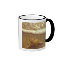USA, Hawaii, Maui, Maui, Kihei, Starfish and Coffee Mugs