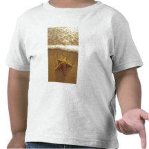 USA, Hawaii, Maui, Maui, Kihei, Starfish and Tee Shirts