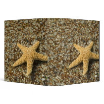 USA, HI, Kauai, Glass Beach with Star fish Binders