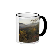 USA, Kentucky. Daniel Boone National Forest. Coffee Mug