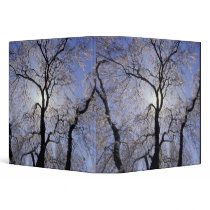 USA, Kentucky, Lexington. Backlit tree and 3 Ring Binders