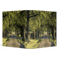 USA, Kentucky, Lexington. Tree-lined driveway, 3 Ring Binders