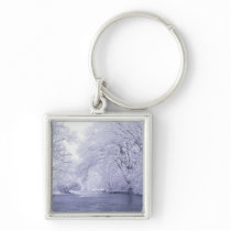 USA, Kentucky, Louisville. Snow covered Keychain