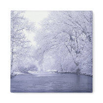 USA, Kentucky, Louisville. Snow covered Refrigerator Magnet