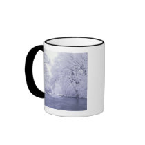 USA, Kentucky, Louisville. Snow covered Mug