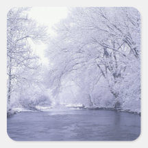 USA, Kentucky, Louisville. Snow covered Stickers