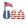 USA Letters and American Flag Tee Shirt