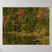 USA; Maine; Acadia NP. Fall reflections at 2 Poster
