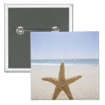 USA, Massachusetts, Cape Cod, Nantucket, close Pins