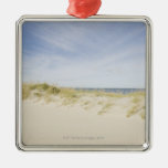 USA, Massachusetts, Cape Cod, Nantucket, sandy Christmas Tree Ornaments