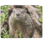 USA, Minnesota, Sandstone, Minnesota Wildlife 15 iPad Cover