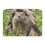 USA, Minnesota, Sandstone, Minnesota Wildlife 15 iPad Mini Cover