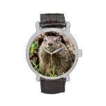 USA, Minnesota, Sandstone, Minnesota Wildlife 15 Wrist Watch