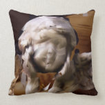 usa MoJo Pillow