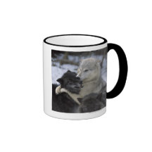 USA, Montana, Wolves playing in snow Coffee Mug