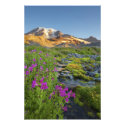 USA, Mt. Rainier National Park, Washington. photoenlargement
