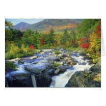 USA, New York. A waterfall in the Adirondack Cards