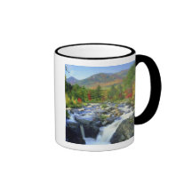 USA, New York. A waterfall in the Adirondack Mug