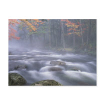 USA, New York, Adirondacks, Big Moose River Post Card