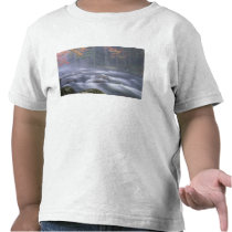 USA, New York, Adirondacks, Big Moose River Tee Shirt