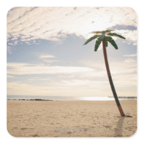 USA, New York City, Coney Island, palm tree on Sticker
