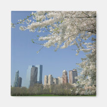 USA, New York, New York City, Manhattan: 4 Magnets