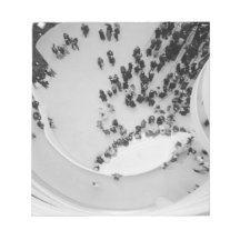 USA, New York, New York City: The Guggenheim 4 Note Pad
