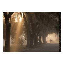 USA; North America; Georgia; Savannah. Boys