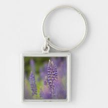 USA, Northeastern Minnesota, near Silver Bay, Keychain