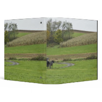 USA, Northeastern Ohio. Amish buggy on farm 3 Ring Binders