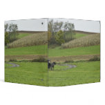 USA, Northeastern Ohio. Amish buggy on farm binders