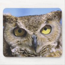 USA, Oregon, Bend. Great Horned Owls are common Mouse Pad