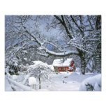 USA, Oregon, Clackamas County. Fresh snow