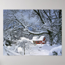 USA, Oregon, Clackamas County. Fresh snow
