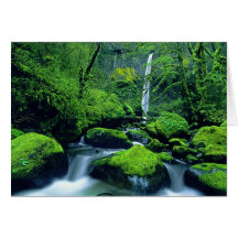 USA, Oregon, Columbia River Gorge National 2 Greeting Card