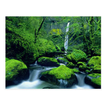 USA, Oregon, Columbia River Gorge National 2 Post Card