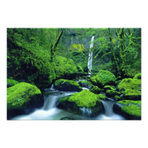 USA, Oregon, Columbia River Gorge National 3